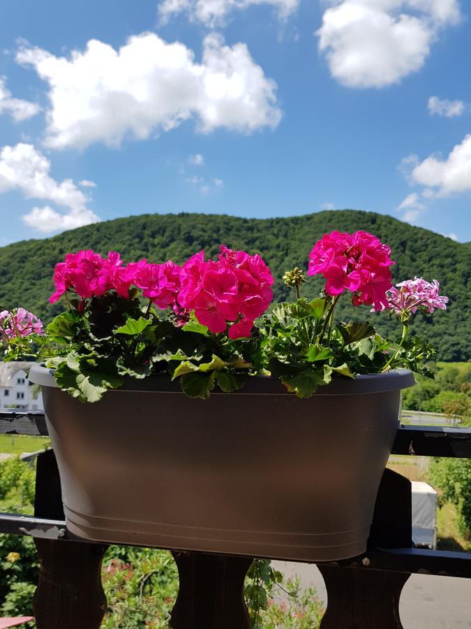 Weingut Erich Serwazi Mesenich Exterior foto