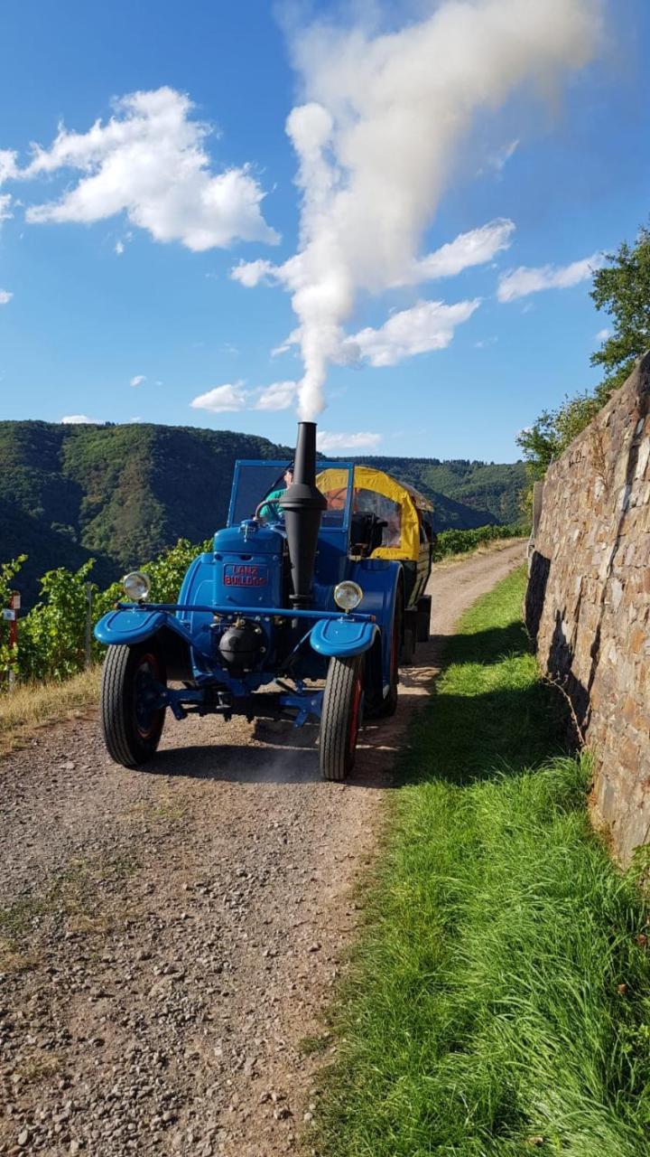 Weingut Erich Serwazi Mesenich Exterior foto